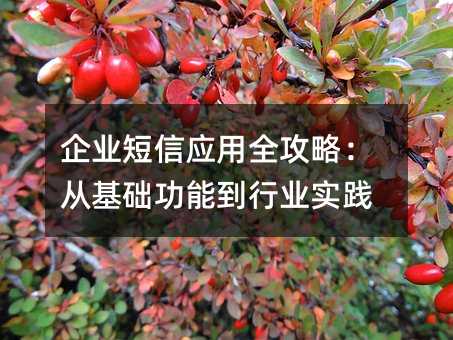 企業(yè)短信應(yīng)用全攻略:從基礎(chǔ)功能到行業(yè)實(shí)踐