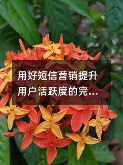 用好短信營(yíng)銷(xiāo)提升用戶(hù)活躍度的完整指南