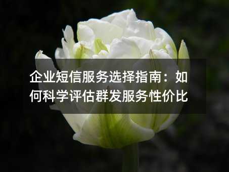 企業(yè)短信服務(wù)選擇指南:如何科學(xué)評估群發(fā)服務(wù)性價比