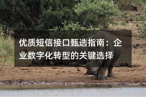 優(yōu)質(zhì)短信接口甄選指南:企業(yè)數(shù)字化轉(zhuǎn)型的關(guān)鍵選擇