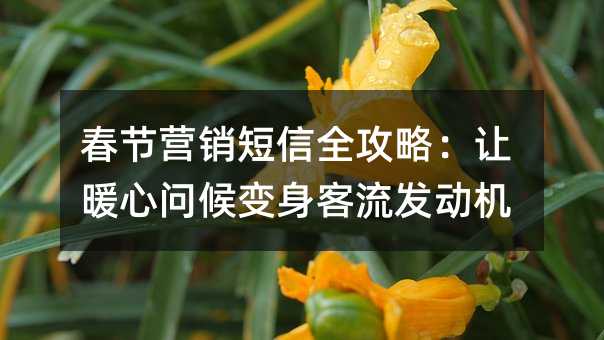 春節(jié)營銷短信全攻略:讓暖心問候變身客流發(fā)動(dòng)機(jī)