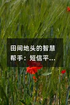 田間地頭的智慧幫手:短信平臺(tái)如何為農(nóng)民打開信息之窗