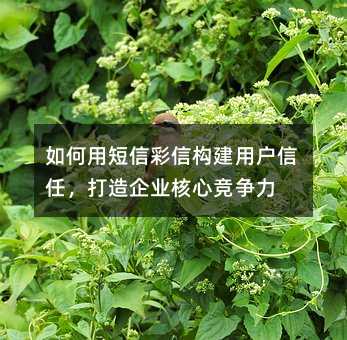 如何用短信彩信構(gòu)建用戶信任,打造企業(yè)核心競(jìng)爭(zhēng)力