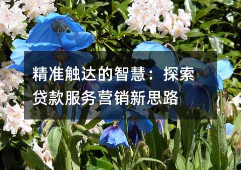 精準觸達的智慧:探索貸款服務營銷新思路