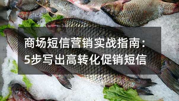 商場(chǎng)短信營(yíng)銷實(shí)戰(zhàn)指南:5步寫出高轉(zhuǎn)化促銷短信