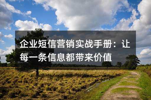 企業(yè)短信營(yíng)銷(xiāo)實(shí)戰(zhàn)手冊(cè):讓每一條信息都帶來(lái)價(jià)值