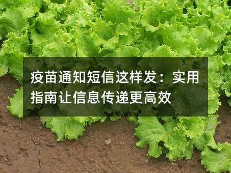 疫苗通知短信這樣發(fā):實(shí)用指南讓信息傳遞更高效