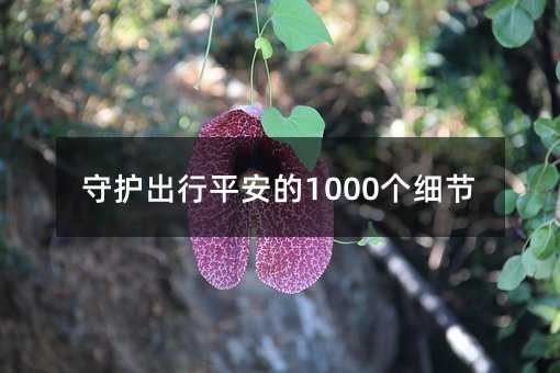 守護出行平安的1000個細節(jié)