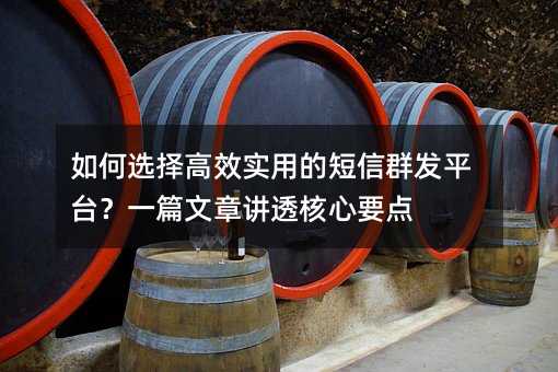 如何選擇高效實用的短信群發(fā)平臺?一篇文章講透核心要點