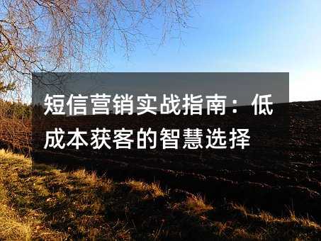 短信營銷實(shí)戰(zhàn)指南:低成本獲客的智慧選擇