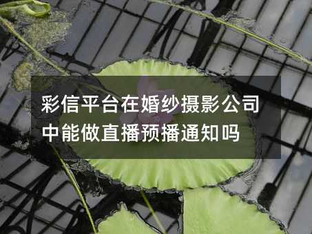 彩信平臺在婚紗攝影公司中能做直播預(yù)播通知嗎