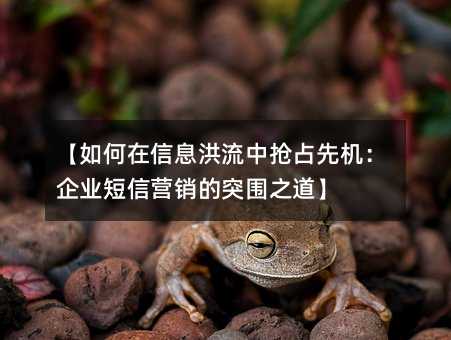 【如何在信息洪流中搶占先機(jī):企業(yè)短信營(yíng)銷的突圍之道】