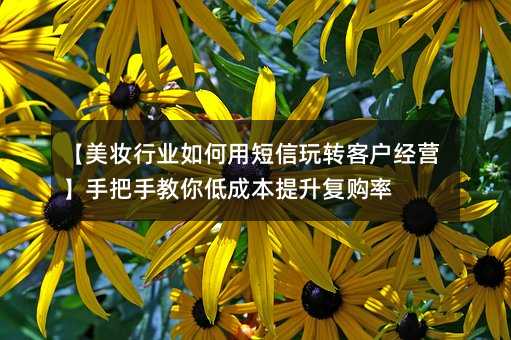 【美妝行業(yè)如何用短信玩轉(zhuǎn)客戶(hù)經(jīng)營(yíng)】手把手教你低成本提升復(fù)購(gòu)率