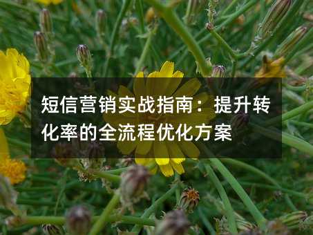 短信營(yíng)銷實(shí)戰(zhàn)指南:提升轉(zhuǎn)化率的全流程優(yōu)化方案