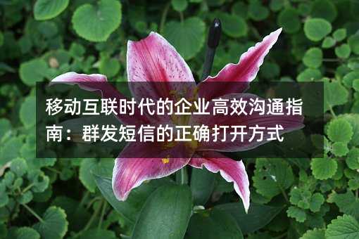 移動互聯(lián)時代的企業(yè)高效溝通指南:群發(fā)短信的正確打開方式