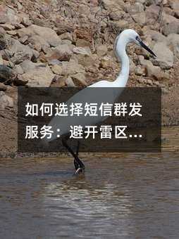 如何選擇短信群發(fā)服務(wù):避開雷區(qū)的實用指南