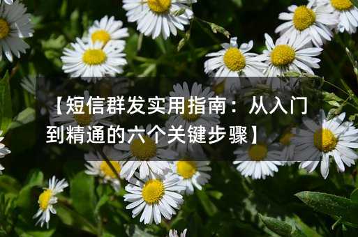【短信群發(fā)實用指南:從入門到精通的六個關鍵步驟】