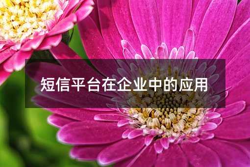 短信平臺在企業(yè)中的應用