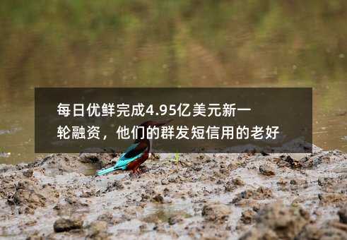 ÿՃ(yu)r4.95|Ԫһ݆YȺl(f)õϺ