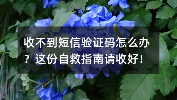 ղCaôk@ԾָՈպ