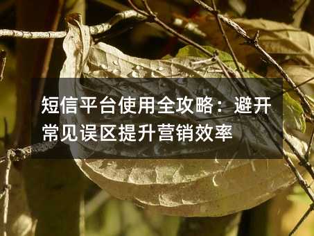 短信平臺使用全攻略:避開常見誤區(qū)提升營銷效率