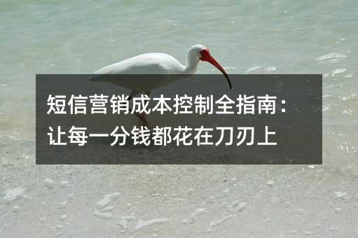 短信營(yíng)銷(xiāo)成本控制全指南:讓每一分錢(qián)都花在刀刃上