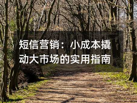 短信營(yíng)銷:小成本撬動(dòng)大市場(chǎng)的實(shí)用指南