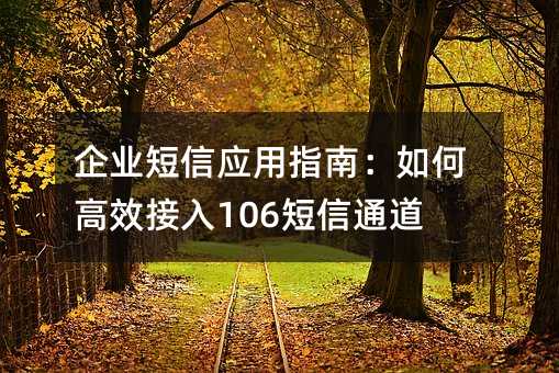 企業(yè)短信應(yīng)用指南:如何高效接入106短信通道