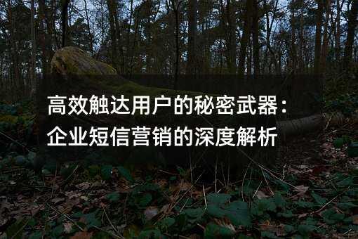 高效觸達(dá)用戶的秘密武器:企業(yè)短信營(yíng)銷的深度解析