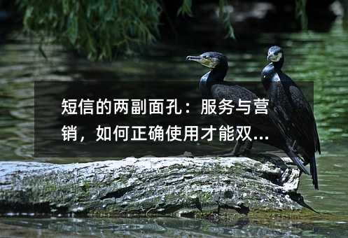 ŵăɸף(w)cIN_ʹòpA