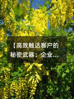 Ч|_(d)͑I(y)Ⱥl(f)(sh)ָϡ