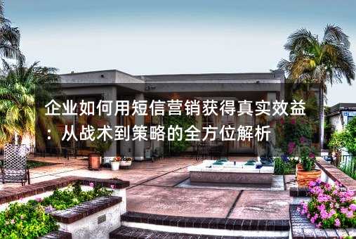 企業(yè)如何用短信營銷獲得真實效益:從戰(zhàn)術(shù)到策略的全方位解析