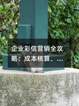 企業(yè)彩信營(yíng)銷全攻略:成本核算、設(shè)計(jì)要點(diǎn)與實(shí)用技巧