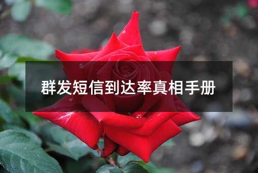 群發(fā)短信到達率真相手冊