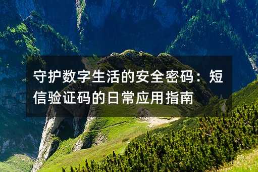 守護(hù)數(shù)字生活的安全密碼:短信驗(yàn)證碼的日常應(yīng)用指南
