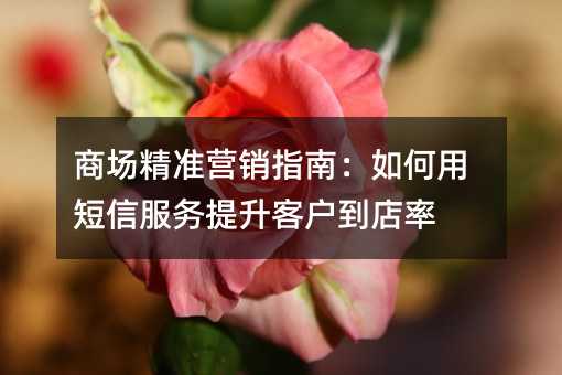 商場精準(zhǔn)營銷指南:如何用短信服務(wù)提升客戶到店率