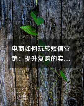 電商如何玩轉(zhuǎn)短信營銷:提升復(fù)購的實戰(zhàn)指南