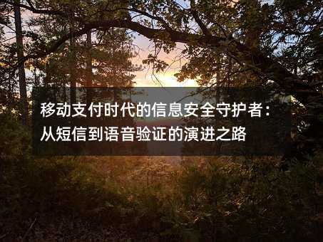 移動支付時代的信息安全守護者:從短信到語音驗證的演進之路