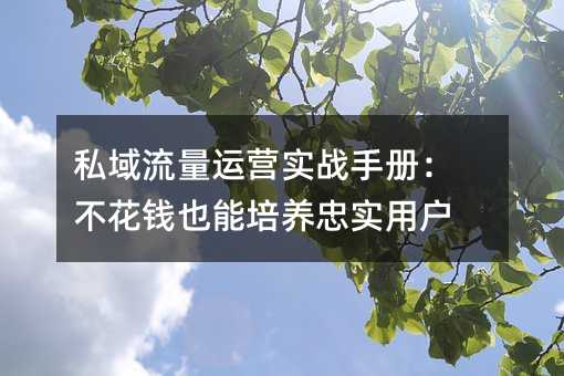 私域流量運(yùn)營(yíng)實(shí)戰(zhàn)手冊(cè):不花錢(qián)也能培養(yǎng)忠實(shí)用戶(hù)