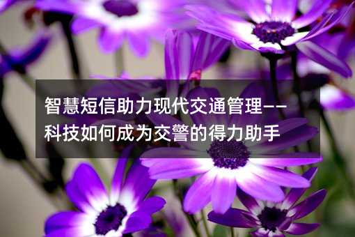 智慧短信助力現(xiàn)代交通管理——科技如何成為交警的得力助手