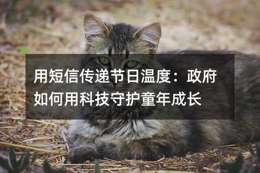 用短信傳遞節(jié)日溫度:政府如何用科技守護童年成長