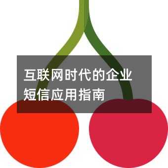 互聯(lián)網(wǎng)時(shí)代的企業(yè)短信應(yīng)用指南