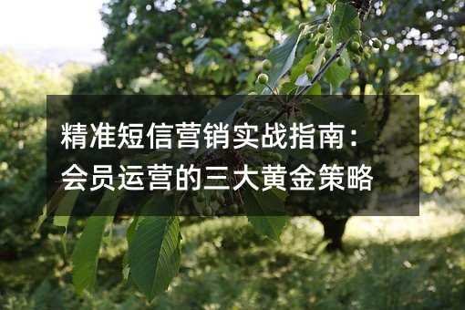 (zhn)ŠIN(sh)(zhn)ָϣ(hu)T\(yn)IS