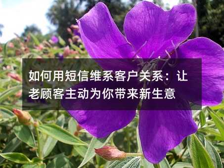 如何用短信維系客戶關(guān)系:讓老顧客主動為你帶來新生意