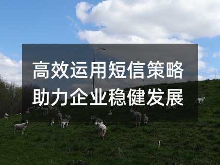 高效運用短信策略助力企業(yè)穩(wěn)健發(fā)展