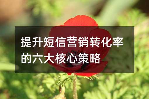 提升短信營銷轉(zhuǎn)化率的六大核心策略