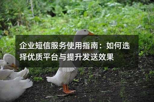 企業(yè)短信服務(wù)使用指南:如何選擇優(yōu)質(zhì)平臺與提升發(fā)送效果