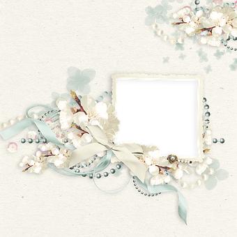 (jin)(lin)W(wng)+t(y)ˎa(chn)I(y)İl(f)չśr