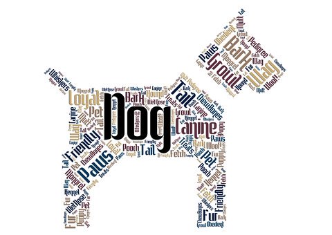 ܇ИI(y)ʹòŠINֵͶ