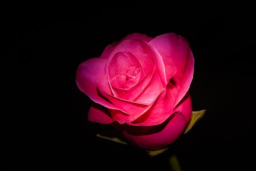 如何用手機(jī)查詢愛車的違章情況